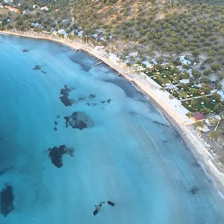 Badem Tatil Koeyue