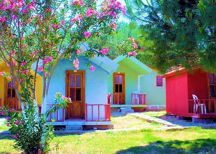 Badem Tatil Koeyue Bademli (Dikili)